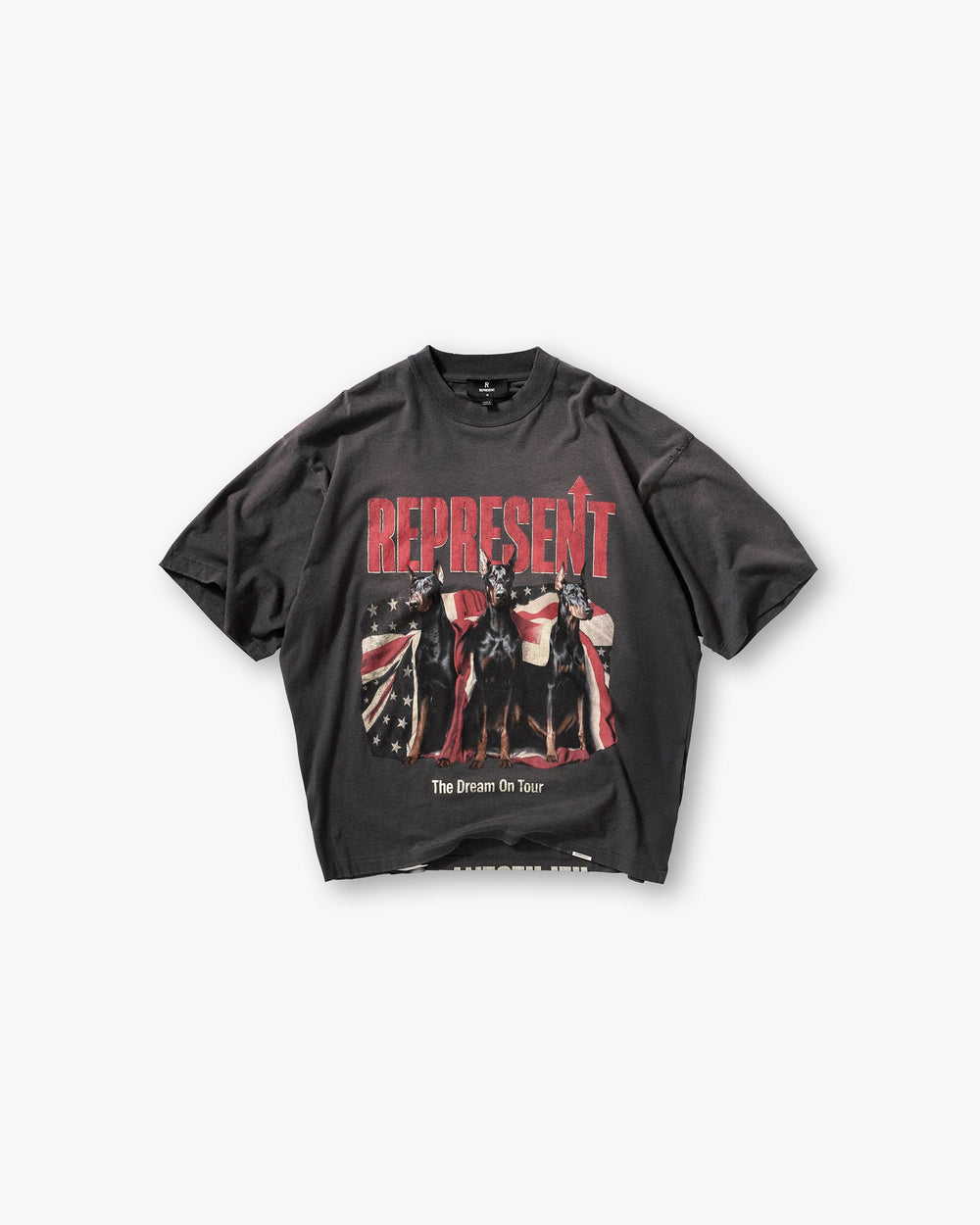Dream On Tour T-Shirt - Sun Fade Grey